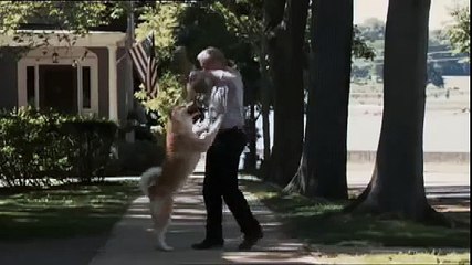 Mój przyjaciel Hachiko (2009) | trailer hd pl