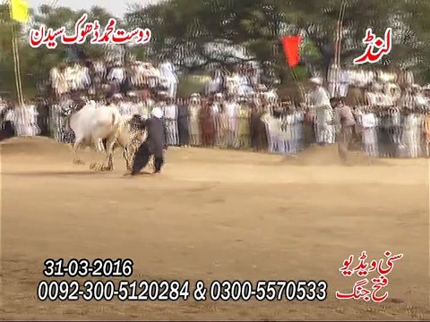 T.A.M.A.S.H.A Geo Daanda