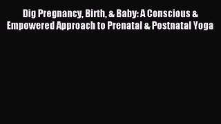 Download Dig Pregnancy Birth & Baby: A Conscious & Empowered Approach to Prenatal & Postnatal