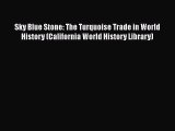 [PDF] Sky Blue Stone: The Turquoise Trade in World History (California World History Library)