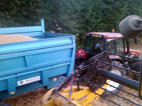 juillet 13, 2015 [ moisson ]