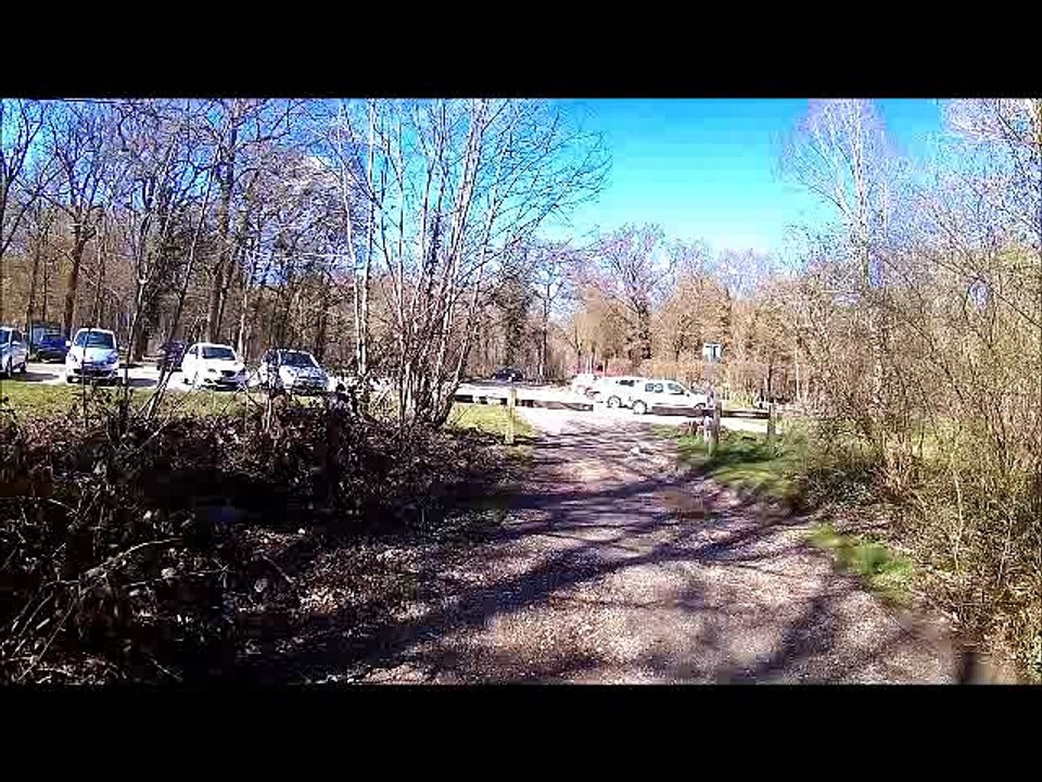 MC au bois n°3