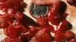 shock video, Chinese eating aborted babies called human embryos.