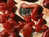 shock video, Chinese eating aborted babies called human embryos.