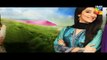 Haya Kay Daman Main Episode 8 Promo