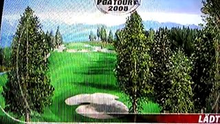 Par 4 in One - Tiger Woods PGA Tour 2005