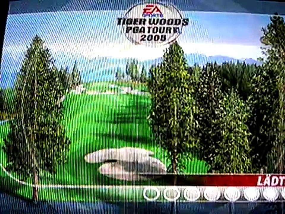 Par 4 in One - Tiger Woods PGA Tour 2005