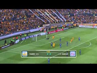 Tigres avanzó a Semifinales