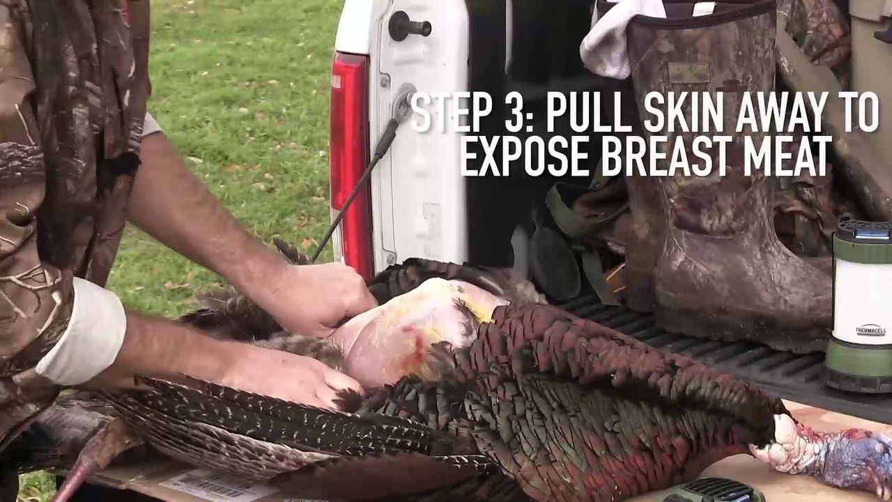 How to Clean a Turkey
