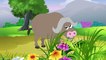 Animal Sounds for Kids - Learning Animals sounds - Nursery rhymes