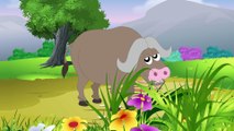 Animal Sounds for Kids - Learning Animals sounds - Nursery rhymes