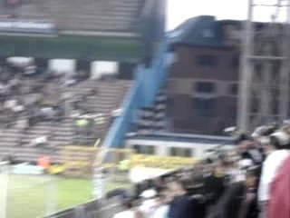 Sporting charleroi - Fc brussels : BUT