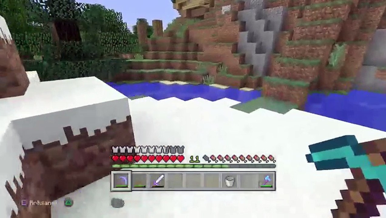 Survie minecraft