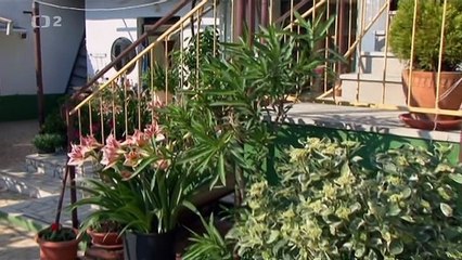 Lodě duchů - přízraky války -dokument (www.Dokumenty.TV) cz / sk