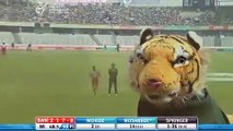 Cricket _ Dance on field _ Shamar Springer