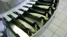 Arenco SFD-300 Capelin filleting