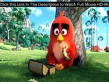 Regarder The Angry Birds Movie Complet Film Gratuit VF