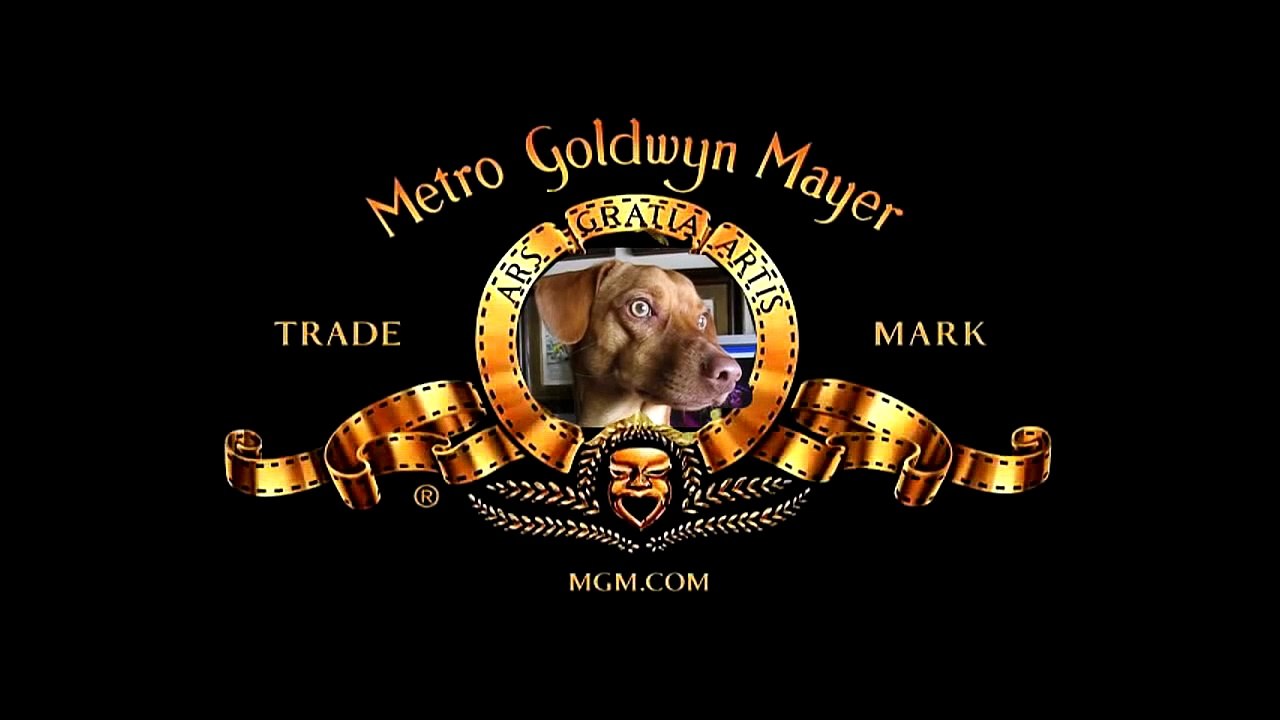 Rudy nel nuovo logo della Metro Goldwyn Mayer