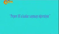 Pepe Yeni Bölüm Pepee 10'a Kadar Saymayı Ögreniyor