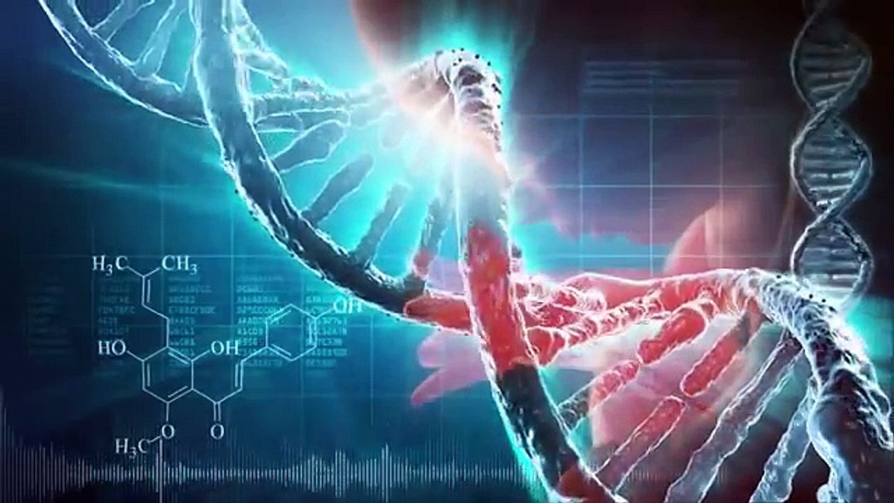 L'énergie kundalini et l'expérience de l'Unité chez l'homme