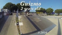 2 years old puppy skateboarding