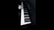 Joe Hisaishi - One Summer's Day - Piano cover (Spirited Away)