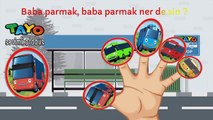 Tayo Bir Sevimli Otobüs Parmak Ailesi Türkçe , Finger Family Türkçe