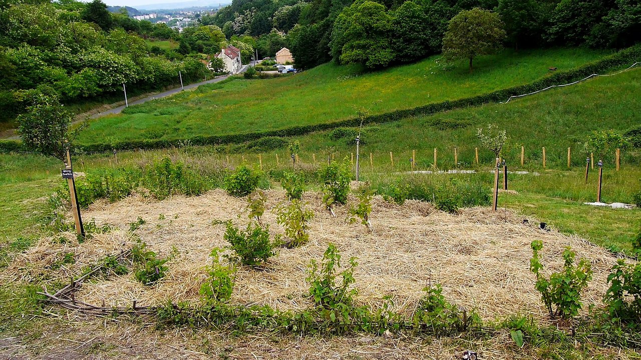 J'ai décidé de créer une ferme agro-écologique pour sensibiliser à de nouveaux modes de consommation (version unique)