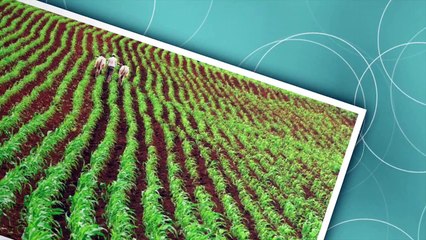 Mt,Ekhkhab Seraye Ab Switzeland፣-ምትእኽኻብ ደቂ ሰራየ ኣብ ስዊዘርላንድ!!