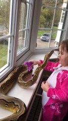 Une enfant de 3 ans fait un câlin à un Python de plus de 2 mètres
