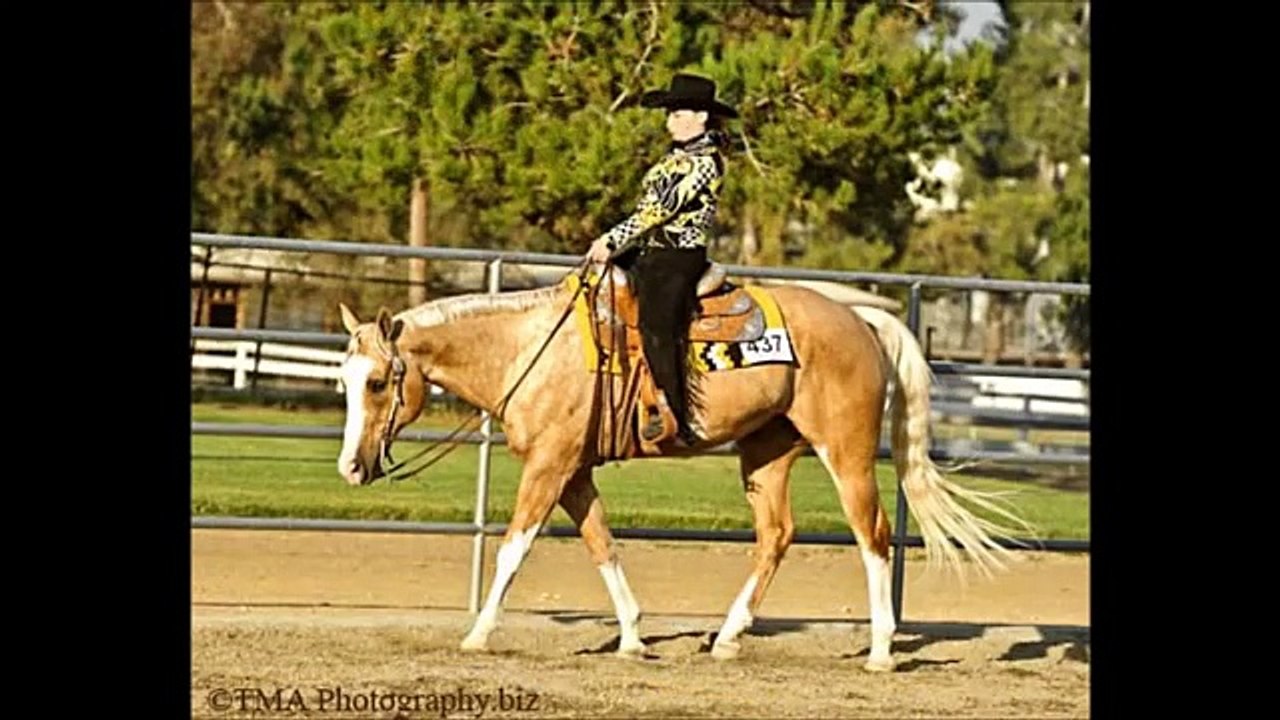 Keep It Dirty, Western Pleasure SOLD