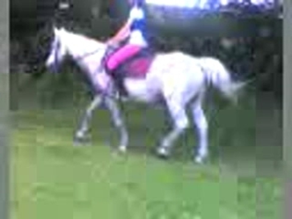 Video001