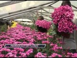 04-06-2014 - NOVA FRIBURGO É LÍDER EM PRODUÇÃO DE FLORES - ZOOM TV JORNAL