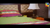 Zindagi Tujh Ko Jiya Episode 28 Full HUM TV Drama 7 April 2016