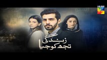 Zindagi Tujh Ko Jiya Episode 29 Promo HUM TV Drama 7 April 2016
