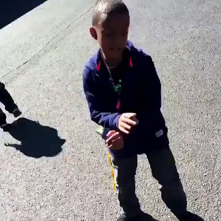 Funny Videos -Must Watch 2016