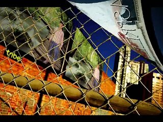 My Pictures (Tere Dil Ka Rishta).wmv