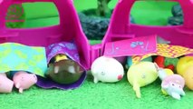 Pig George da Familia Peppa Pig Brinca no Acampamento com Dora Aventureira ToyToysBrasil