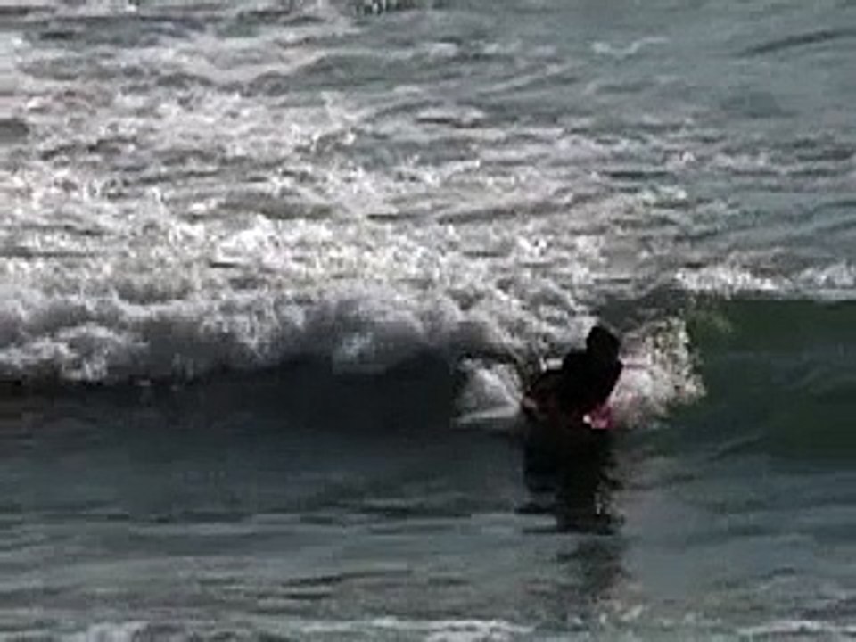 Proof of Sea Monster at Loch Ness???