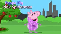 Família Peppa Pig Português HOMEM ARANHA SUPER HOMEM Pink Spiderman Venom Elsa Superman
