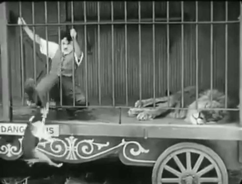 Lions cage
