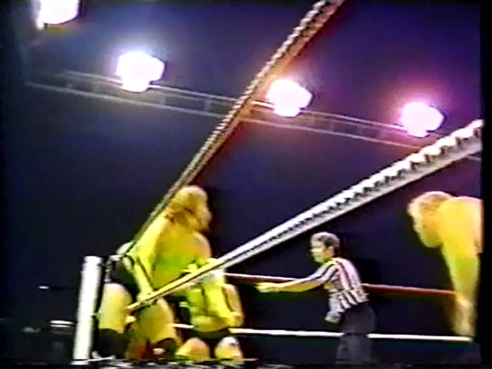 Fabulous Freebirds vs Blackwell, Hennig, Zenk part 1
