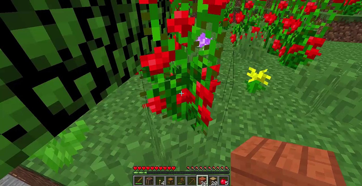 MInecraft Lets Play (pt1) Lets Build a House