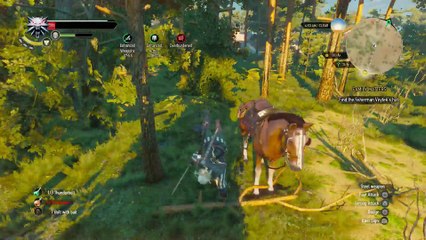 WITCHER 3 DEATH MARCH! WALKTHROUGH 49 - FAMILY MATTERS