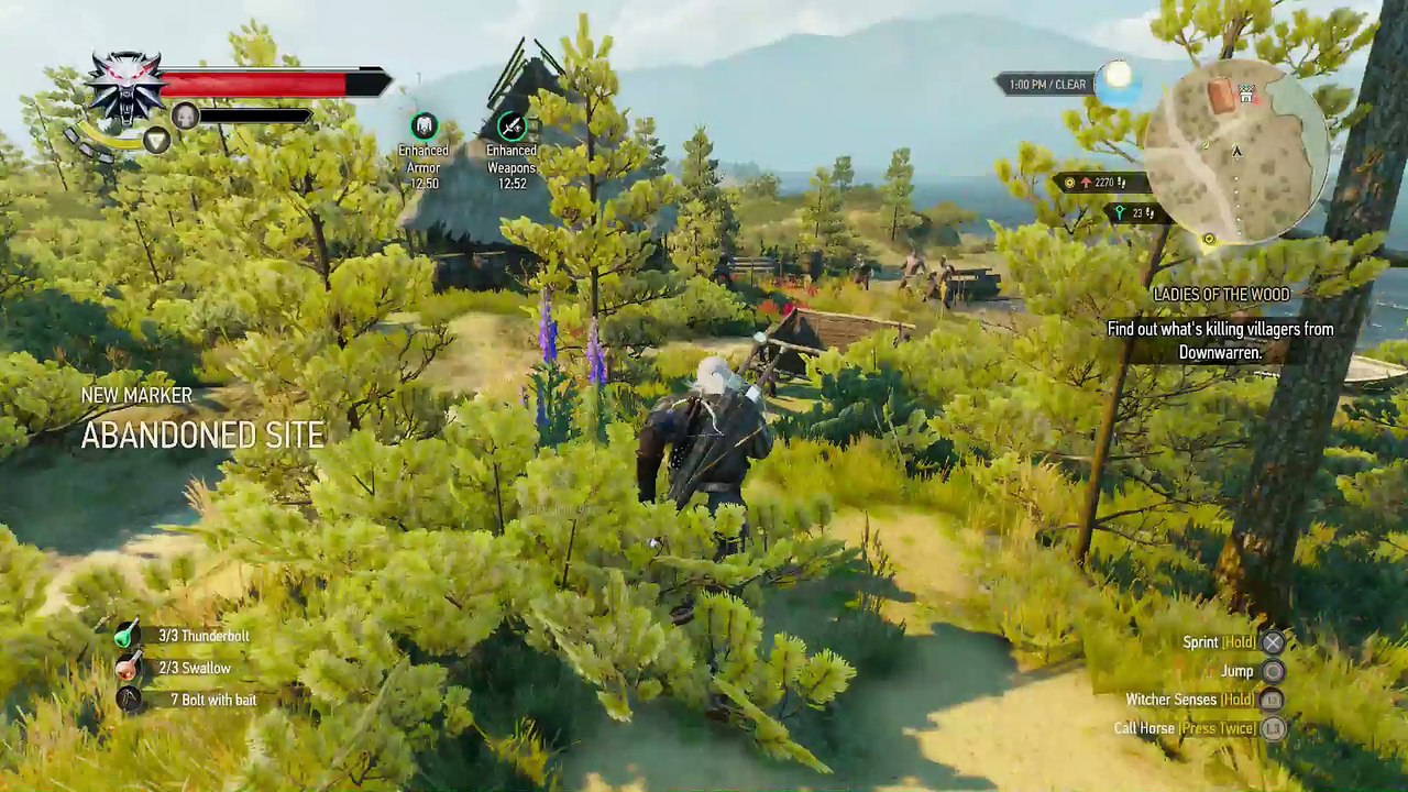 WITCHER 3 DEATH MARCH! WALKTHROUGH 50 - FAMILY MATTERS & LADIES OF THE WOOD