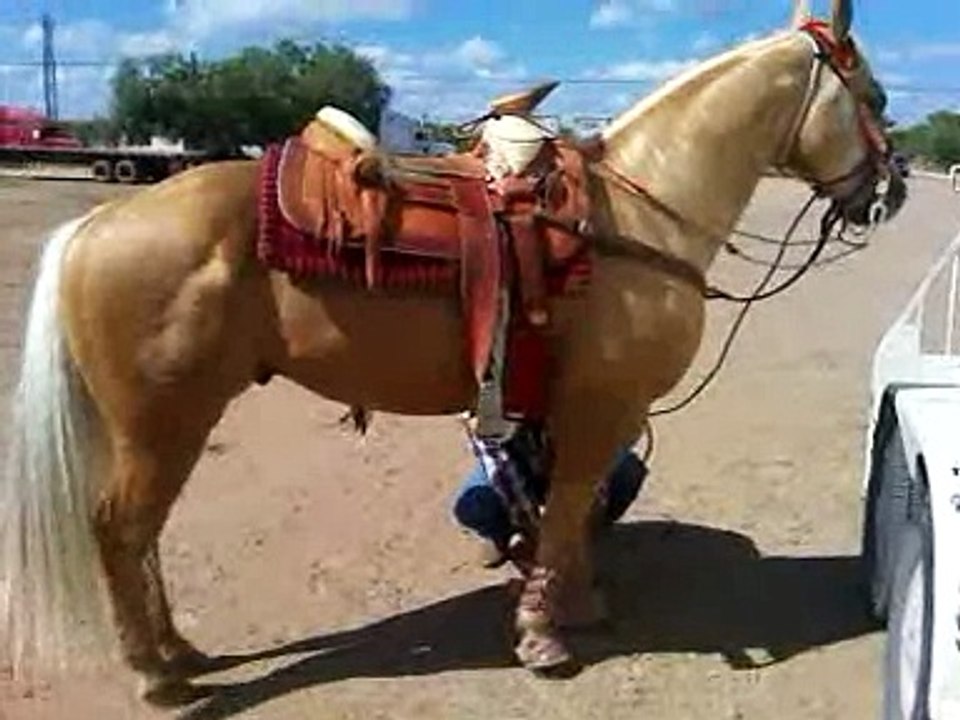 Luis(Luisgabriel)Diazbarriga