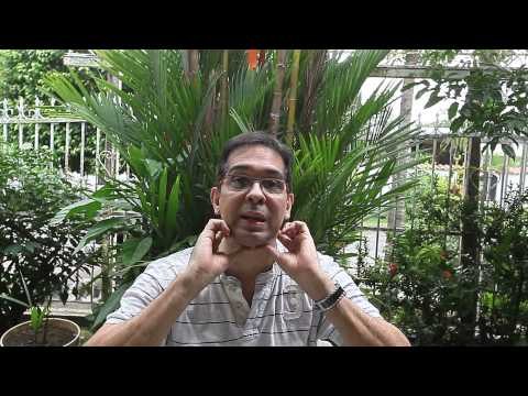 Juegos pirotécnicos afectan a los perros, dice el veterinario Miguel González
