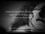 Abida Parveen - Mahi Yaar Di Ghadoli Bhardi - Adeel Ahmed Pir Tribal Mix Extended.flv