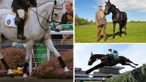 Grand National winners - where are they now?