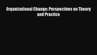 Read Organizational Change: Perspectives on Theory and Practice Ebook Free